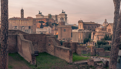 Fototapete - Rome, Italy: Roman Forum and Old Town of the city