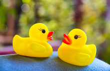 Ducklings Rubber Toys On Green Blur Background