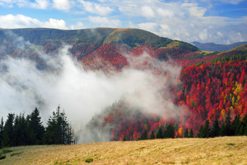 Wall Mural - Misty autumn Transcarpathia