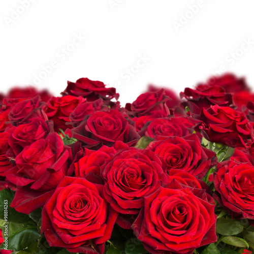 Nowoczesny obraz na płótnie bouquet of dark red roses close up