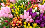 Tulips bouquets for Mother's Day - Valentines Day, romantic garden or dinner!