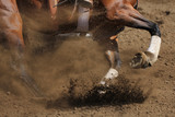 Fototapeta Konie - An action photo of a horse sliding and kicking up dirt in a horizontal close up view.