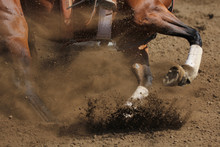 An Action Photo Of A Horse Sliding And Kicking Up Dirt In A Horizontal Close Up View.