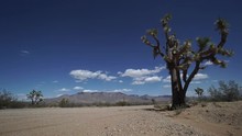 Scenes Of A Roadside In The Desert