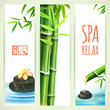 Set of Vertical Bamboo Banners. Vector illustration, eps10, editable.