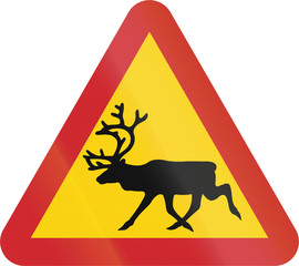 Wall Mural - Road sign used in Sweden - Reindeer