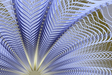 Flower Of A Series Of Endless Blue Waves. Tracery Pattern. High Resolution Abstract Fractal Computer Generated Detailed Image