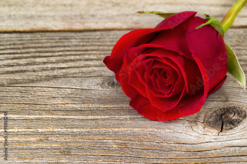 Naklejka na szybę Single freshly cut red rose on rustic wood