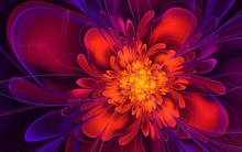Abstract Fractal Background, Wavy Red-purple Flower