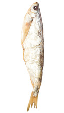 Sabrefish Smoked Fish On A White Background