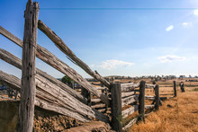 Old Dilapidated Wooden Cattle Race Fence In The Country