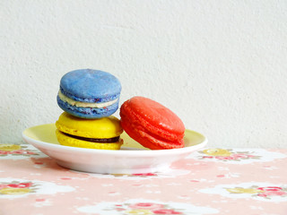 Canvas Print - Macaroon