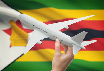 Wall Mural - Airplane in hand with flag on background - Zimbabwe