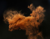 Fototapeta Konie - Ginger cloud of a magic dust