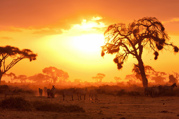 African sunset