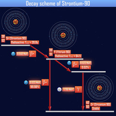 Wall Mural - Decay scheme of Strontium-90