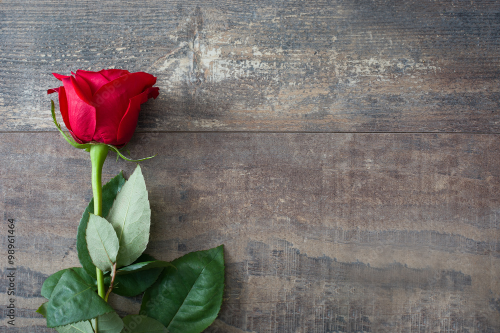 red rose on wood background - obrazy, fototapety, plakaty 