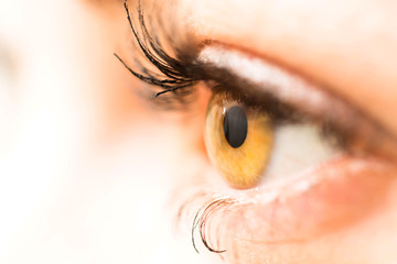 photo of woman eye close up with shallow depth of field