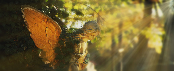 Wall Mural - golden angel in the sunlight (antique statue)