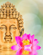 bouddha et lotus