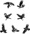 raven, crow, black, vector, drawing, decorative, ornamental, wild, sign, symbol, isolated, illustration