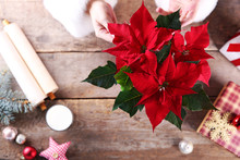 Beautiful Christmas Flower With Other Decorations On Wooden Table, Close Up