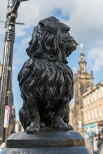 A Statue Of Bobby A Skye Terrier Who Became Famous In Edinburgh For Sleeping On The Grave Of His Master