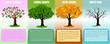 Tree season color info graphics concept vector design - illustrator
