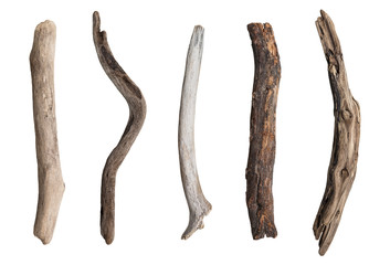 set of dry tree branch