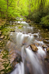 Wall Mural - Cascading Stream in the Smokies