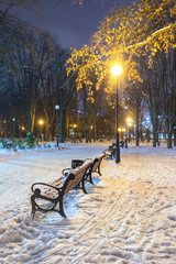 Wall Mural - Footpath in a fabulous winter city park