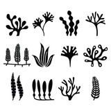 Seaweed icons set - nature, food trends concept 