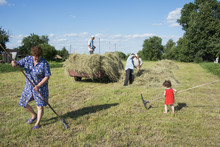Summer  Little Curly Girl Helps Adults Raking Hay And Put It On
