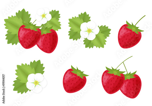 苺 いちご 花 葉 イラストカット素材セット Stock Illustration Adobe Stock