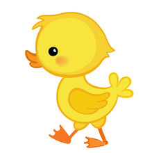 Cute Cartoon Duckling Is Depicted In Profile.Vector Illustration. Isolated On White Background.