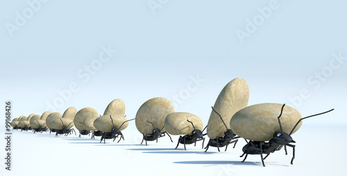 Zdjęcie XXL praca koncepcyjna, zespół mrówek