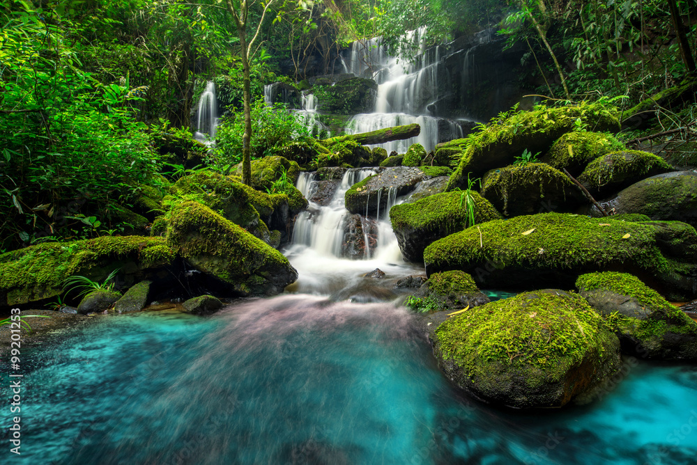 beautiful waterfall in green forest in jungle - obrazy, fototapety, plakaty 