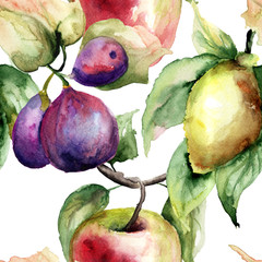 Sticker - Watercolor Illustration of fruits