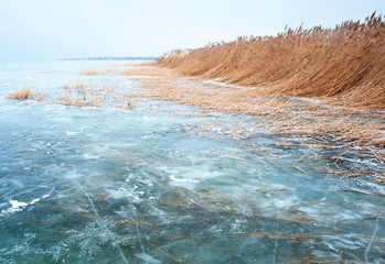 Wall Mural - Lake Balaton in winter