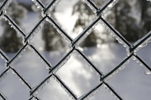 Frozen Fence - White Snow