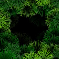 Wall Mural - Exotic pattern with tropical leaves on a black background