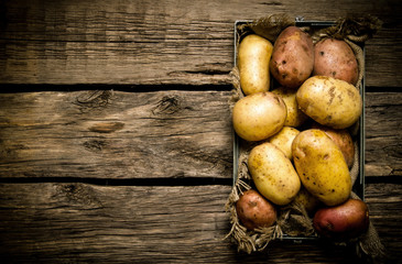 Potatoes in an old box on a wooden table . Free space for text.