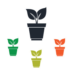 Plant in pot icon