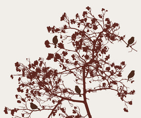 Naklejka jesień las ptak natura