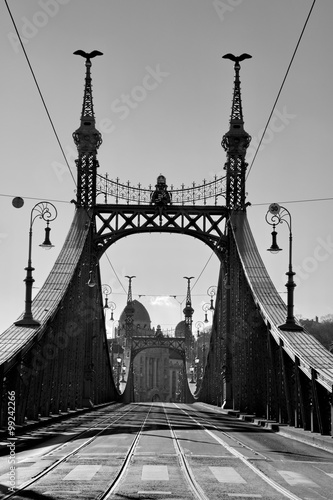 Obraz w ramie Liberty Bridge of Budapest, Hungary