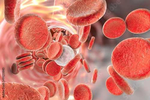 mikroskopowy-widok-czerwonych-krwinek-i-bialych-krwinek-leukocytow-w-naczyniach-krwionosnych-tlo-z-czerwonymi-krwinkami