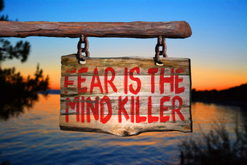 Wall Mural - Fear is the mind killer motivational phrase sign
