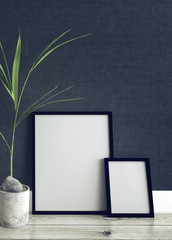 Picture Frames and Potted Plant Inside Modern Home