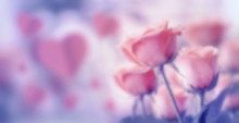 Glass Texture With Happy Valentine's Day, Fine Daisy Color Tone Design, Blur And Select Focus Background