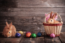 Rabbits With Easter Eggs On Wooden Background